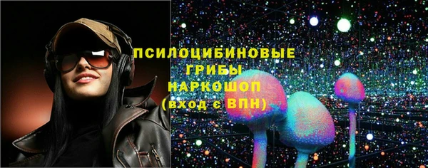 мдма Краснослободск