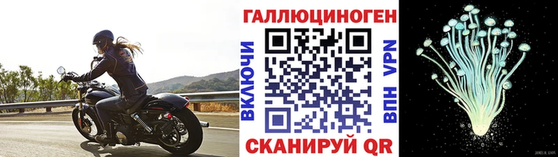 darknet телеграм дарнет шоп Луховицы Псилоцибиновые грибы прущие грибы
