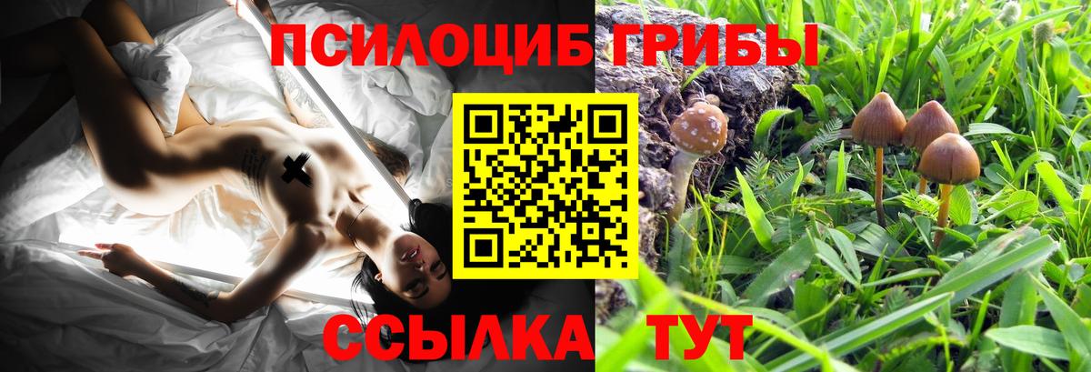 Галлюциногенные грибы мухоморы  Вход с VPN  Луховицы 